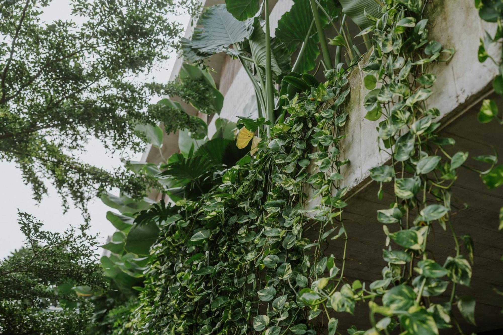 The Komu Canggu  Exterior photo